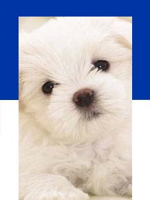 Get access to real marketing innovation including AI 